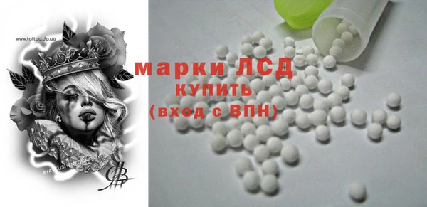 индика Аркадак