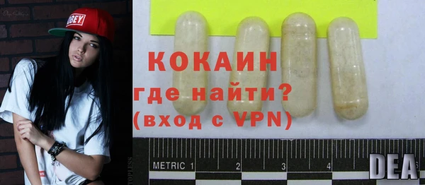 индика Аркадак