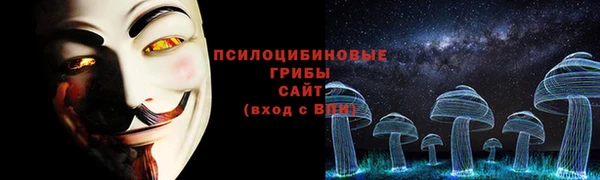 индика Аркадак