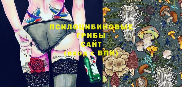 ГАЛЛЮЦИНОГЕННЫЕ ГРИБЫ Нея
