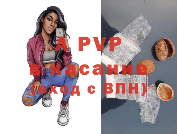 индика Аркадак