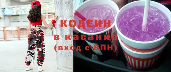 индика Аркадак