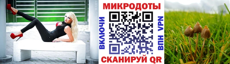 Псилоцибиновые грибы мицелий Поронайск