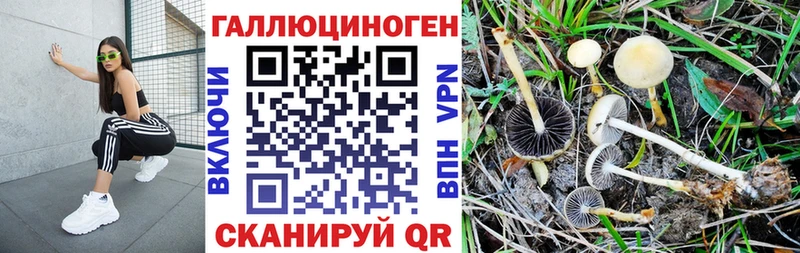 Псилоцибиновые грибы Psilocybe  Поронайск 